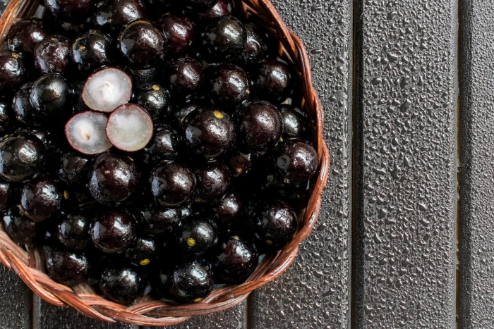 Джаботикаба ягода