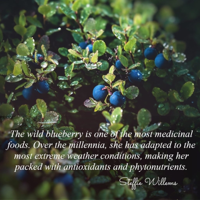 Лесная ягода гонобобель