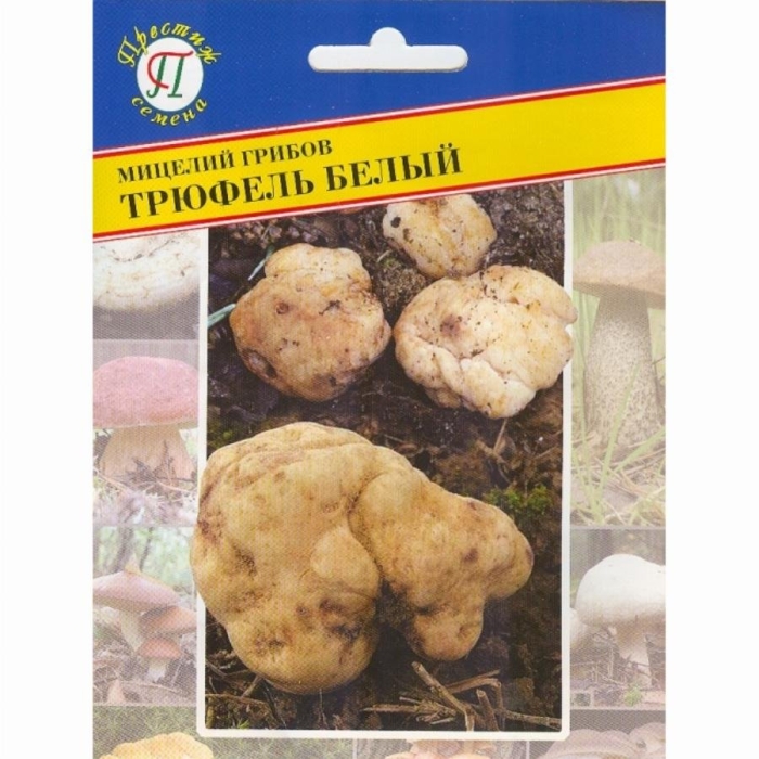 Мицелий трюфеля белого