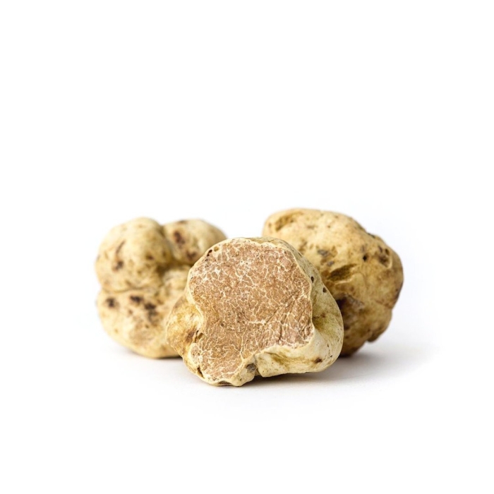 Белый трюфель (tuber magnatum pico).