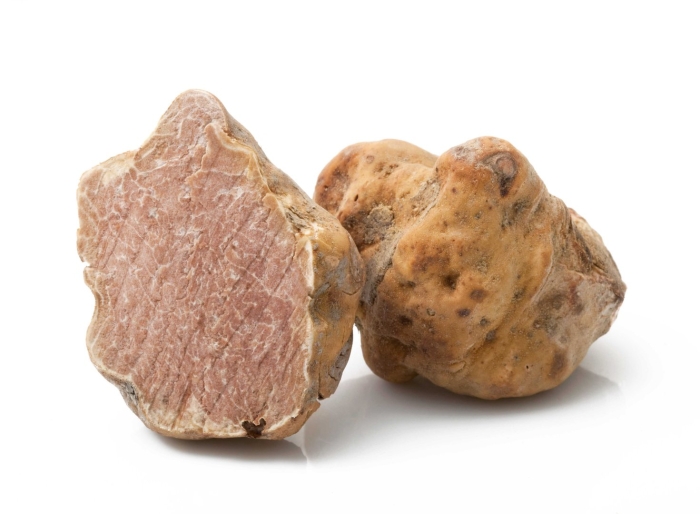 Трюфель итальянский tuber magnatum