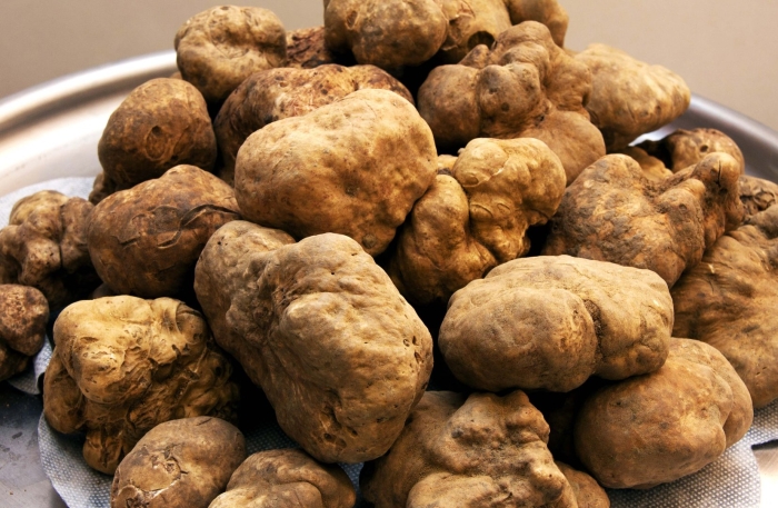 Итальянский белый трюфель