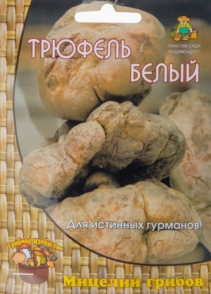 Трюфель белый или итальянский