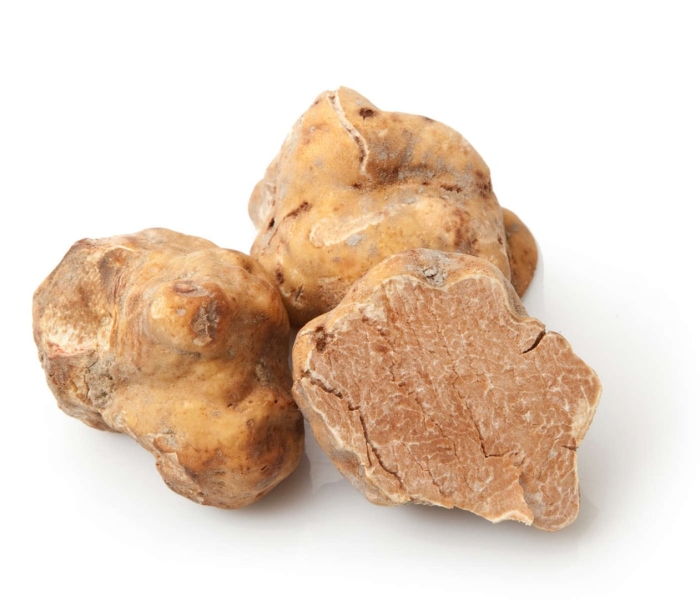 Трюфель итальянский tuber magnatum