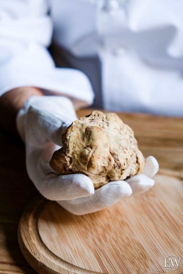 Белые трюфели из альбы