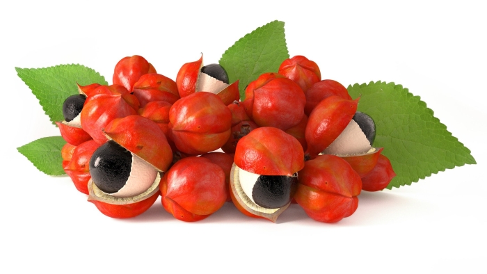 Guarana seed extract