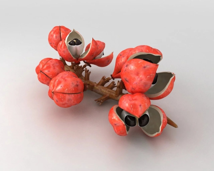 Гуарана экстракт