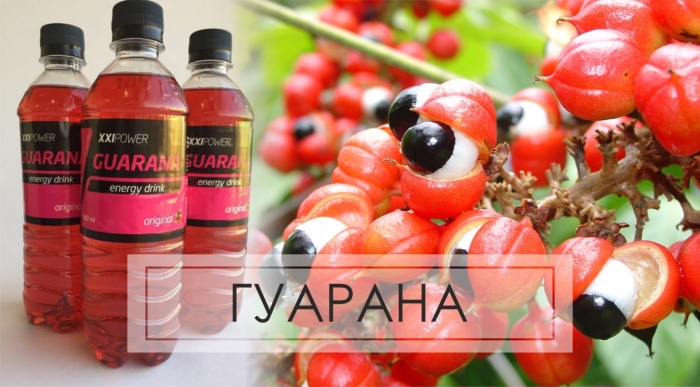 Гуарана напиток бразилия