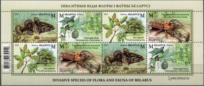 Почтовые марки беларусь