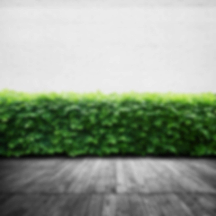 Стена с зеленью