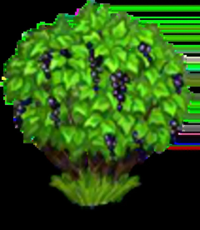 Куст черной смородины вектор