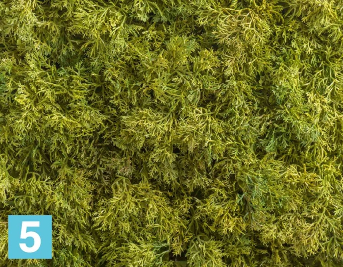 Мох ягель зелёный микс (коврик)