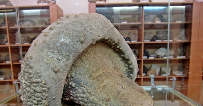 Дальнегорск музей минералов