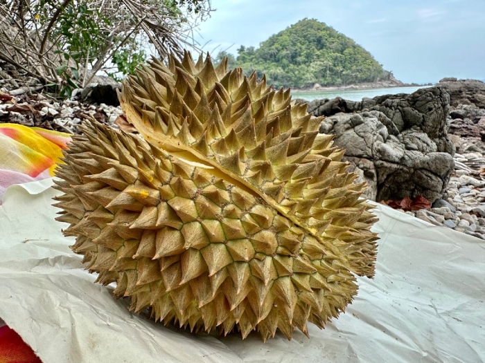 Фрукт дуриан