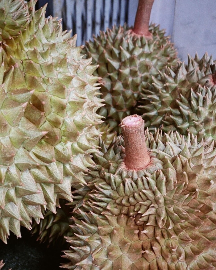 Дикие фрукты