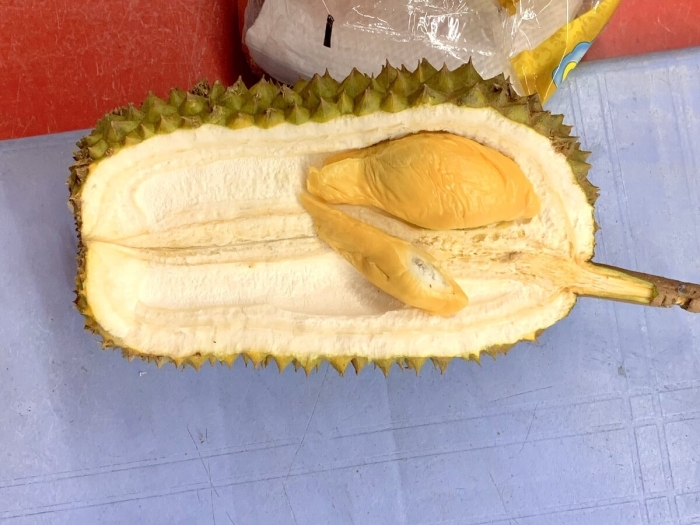 Дуриан цибетиновый