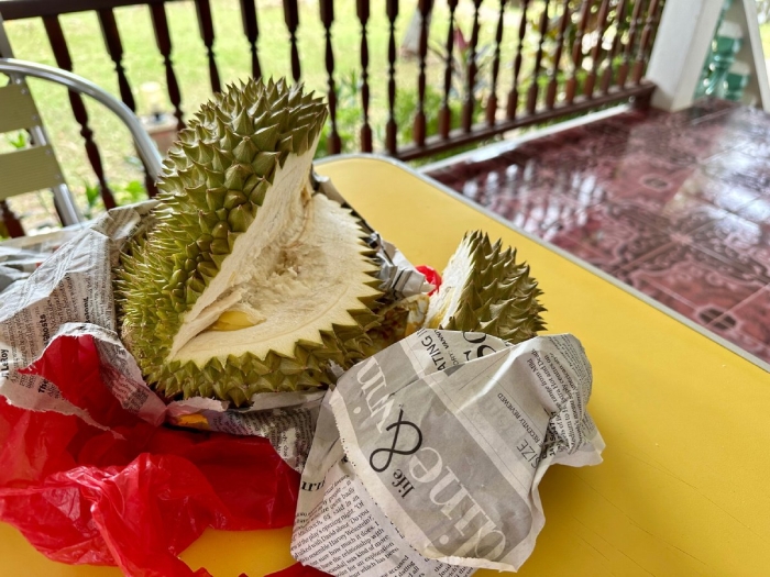 Вонючий фрукт из тайланда