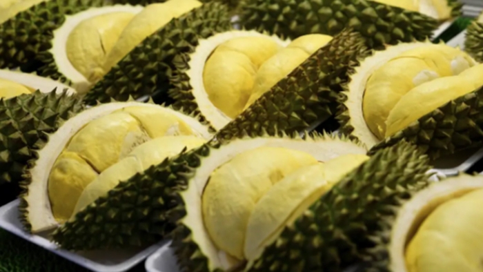 Дуриан цибетиновый