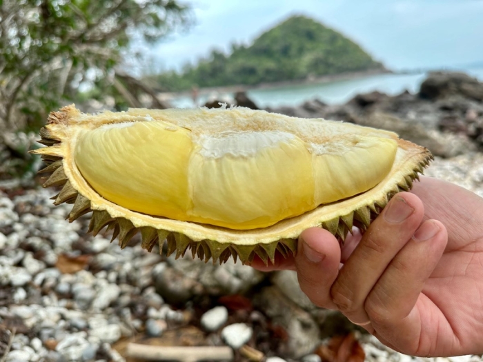 Дуриан тайский фрукт