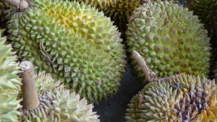 Дуриан фрукт