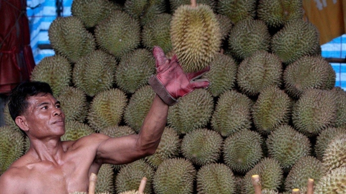 Дуриан в китае