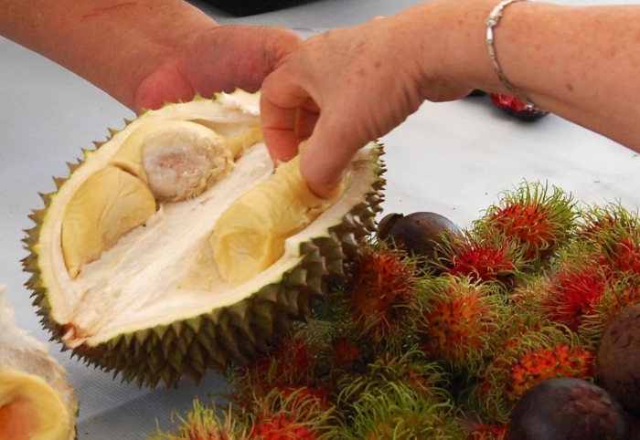 Дуриан питайя