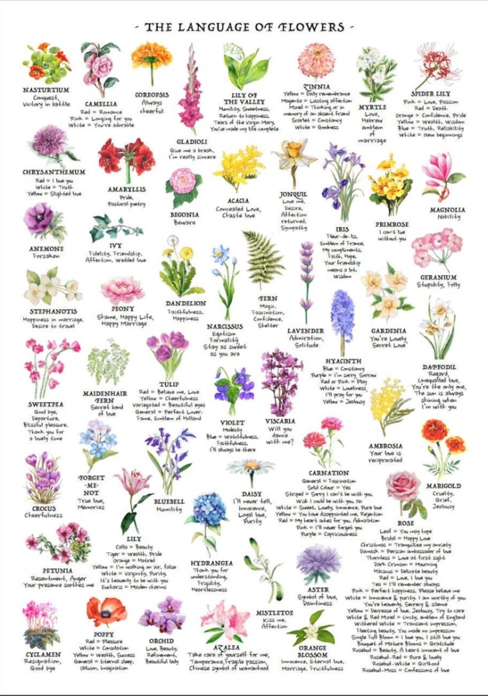 Язык цветов