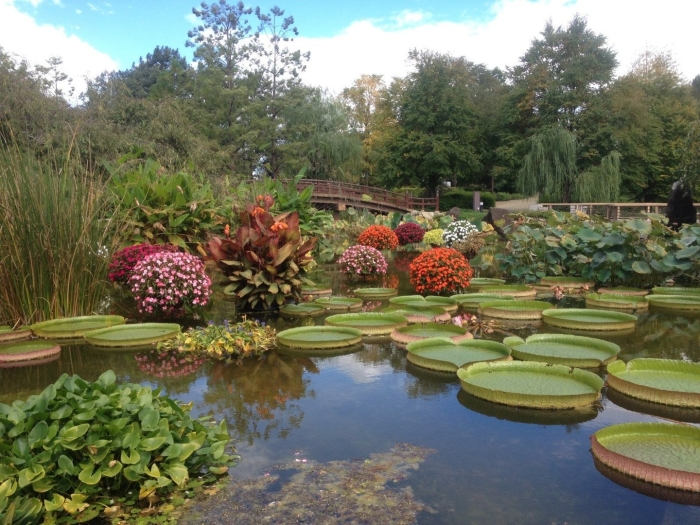 Ботанические сады