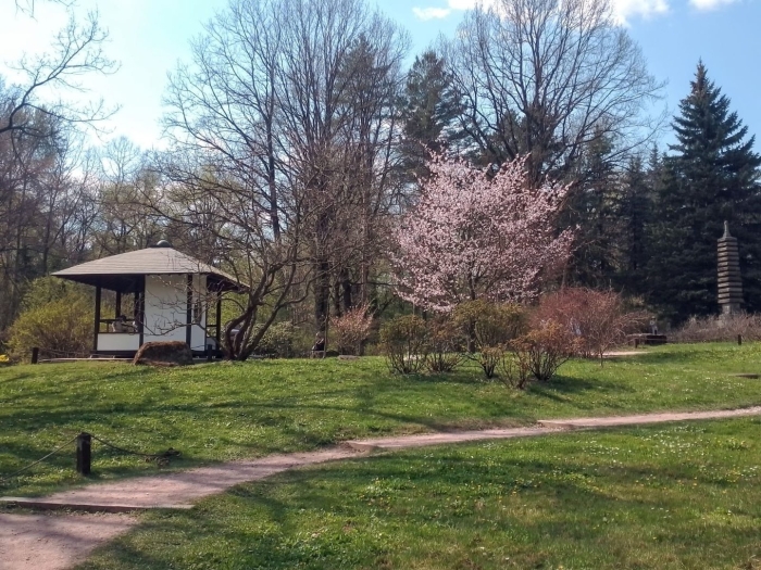 Японский ботанический сад цицина