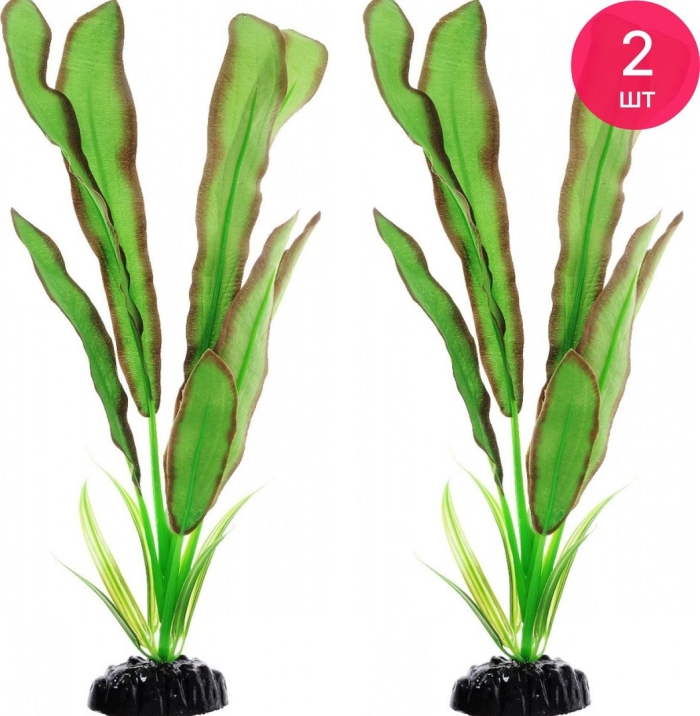 Эхинодорус бартхи