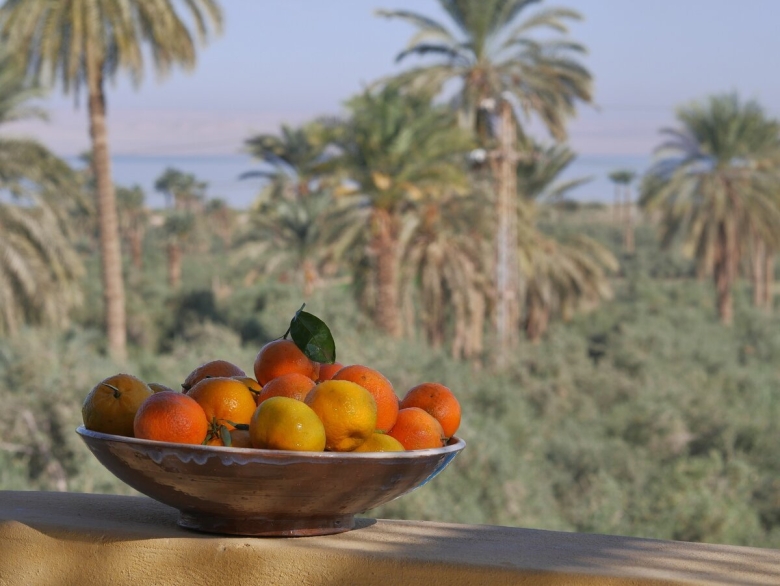 Фрукты в Шарм Эль Шейхе