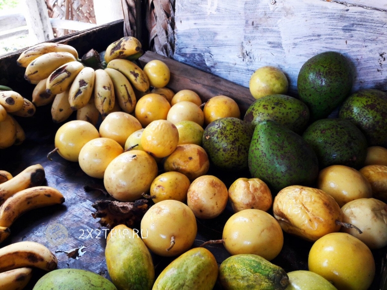 Экзотические фрукты Египта