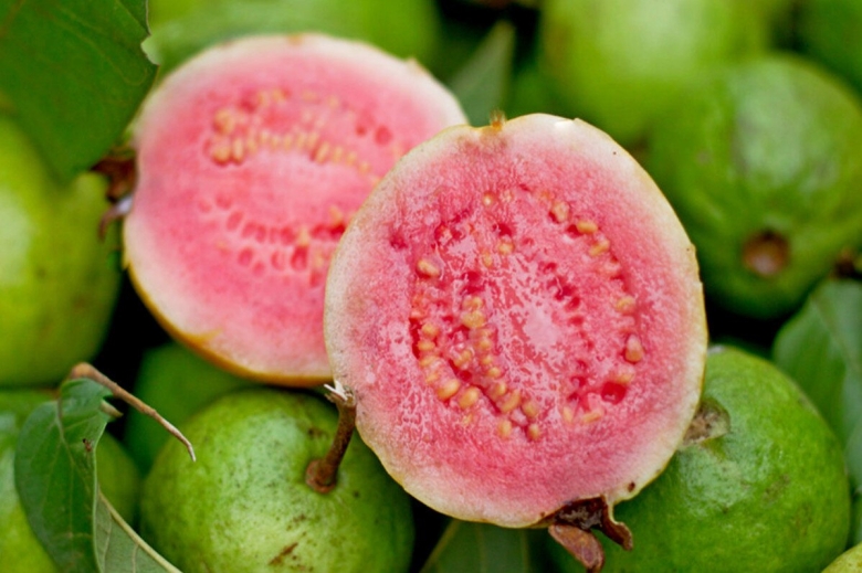 Мексиканская гуава