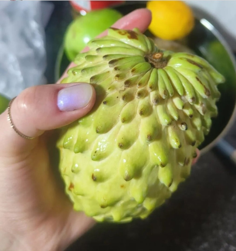 Тропический фрукт черимойя