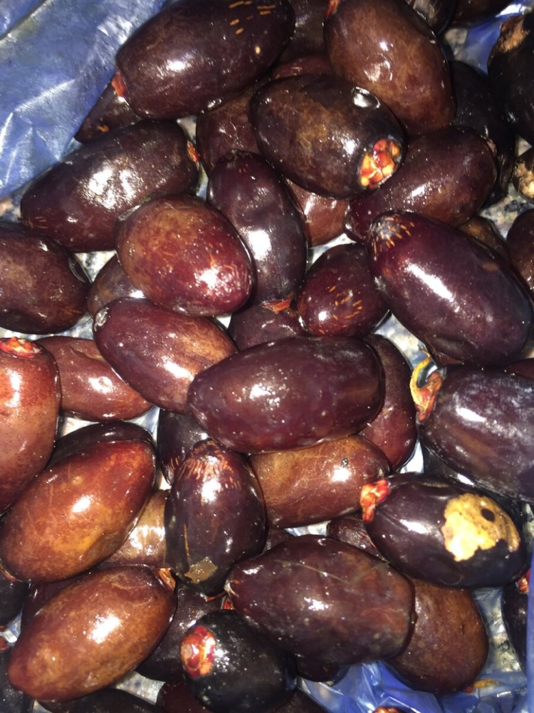 Фрукты из Египта названия