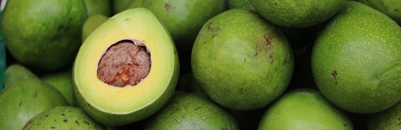 Плод авокадо