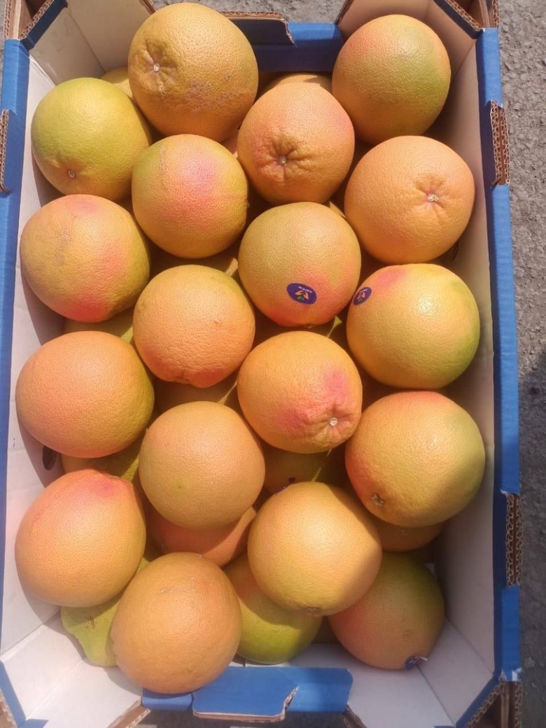 Календарь овощей и фруктов Казахстан