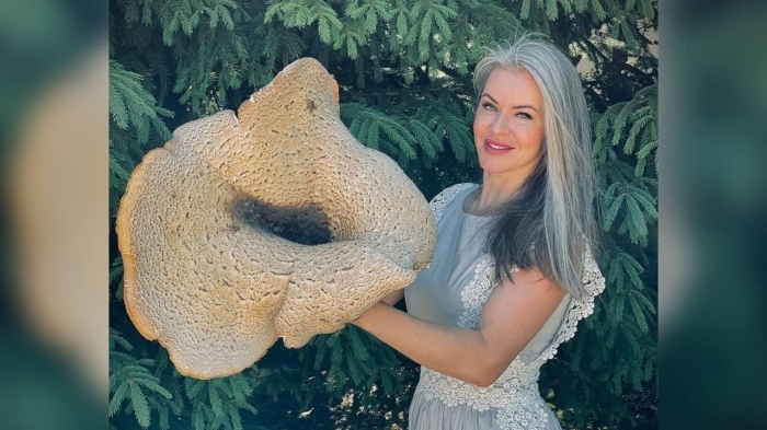 Гигантские грибы