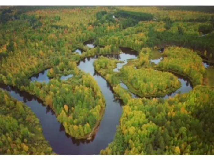 Заповедник малая сосьва в хмао югре