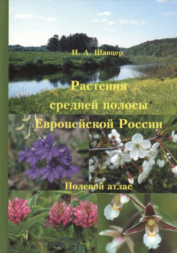 Шанцер и.а растения средней полосы европейской россии полевой атлас