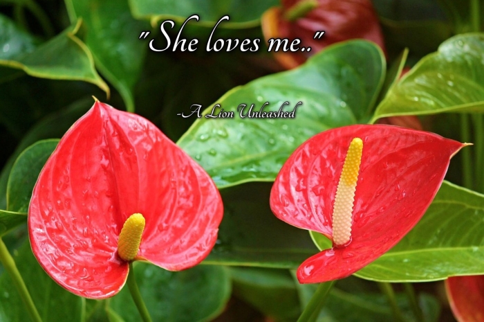 Антуриум миллион флауэрс ред