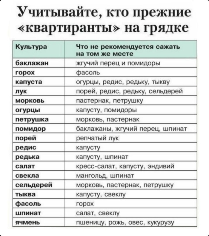 Совместимость растений в саду и огороде таблица