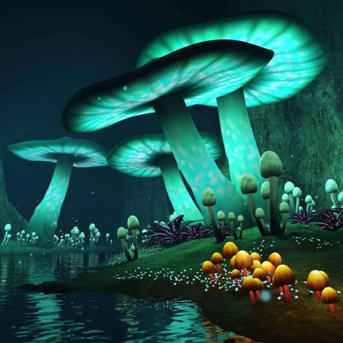 Люминесцентные грибы