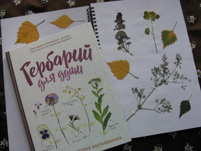 Екатерина осипова гербарий для души
