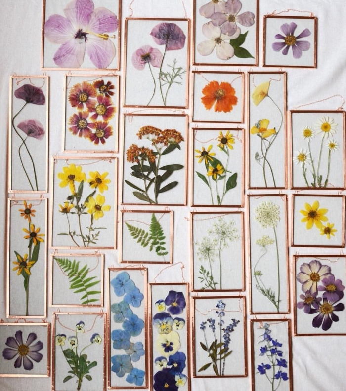 Гербарий в детском саду