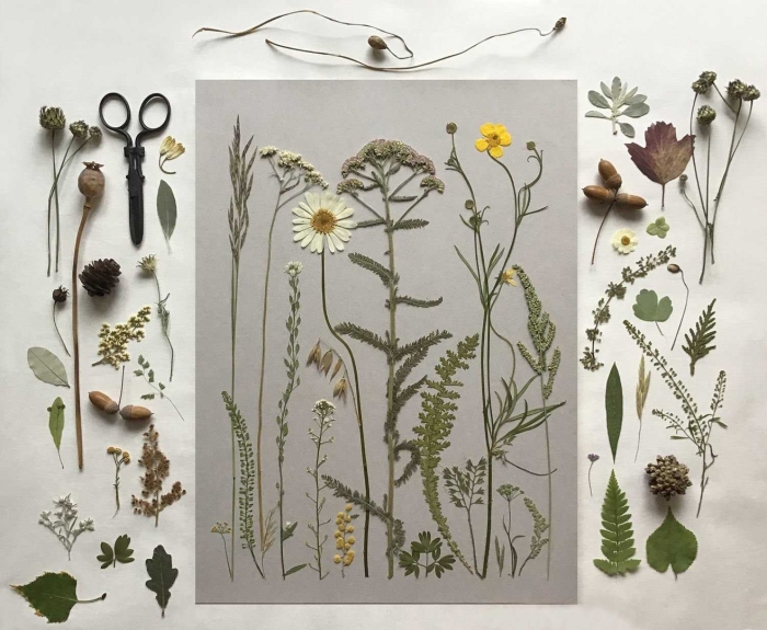 Гербарий эстетика
