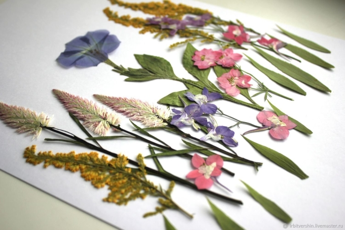 Сухая трава гербарий сухоцветы