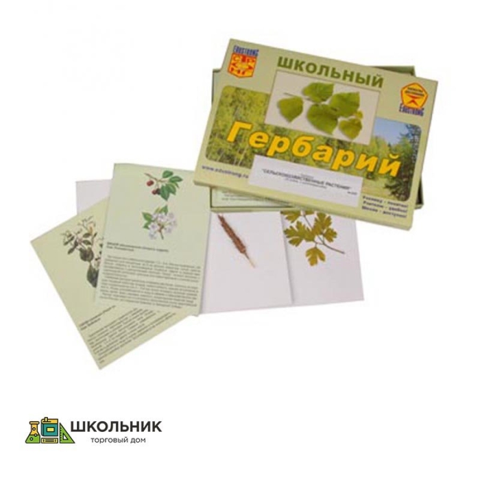 Гербарий для начальной школы 30 видов