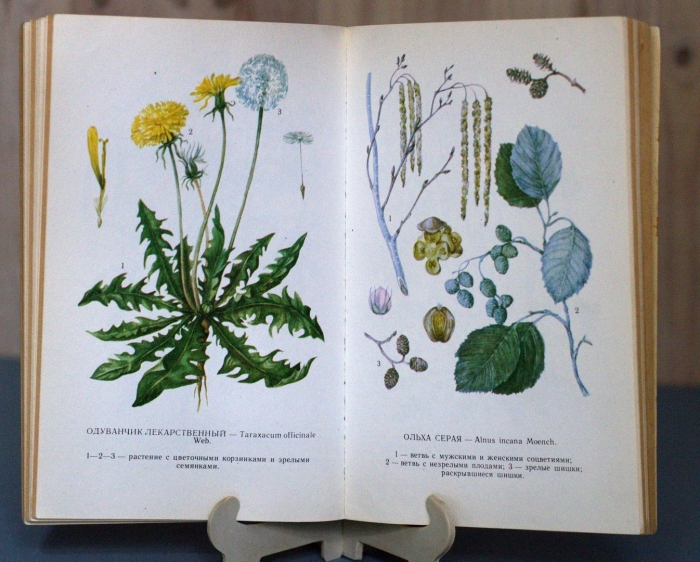 Атлас русских лекарственных растений. в.к. варлих