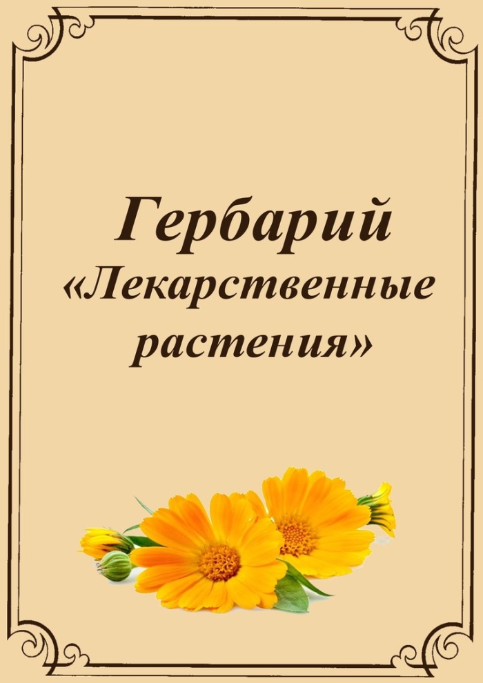 Титульный лист гербария